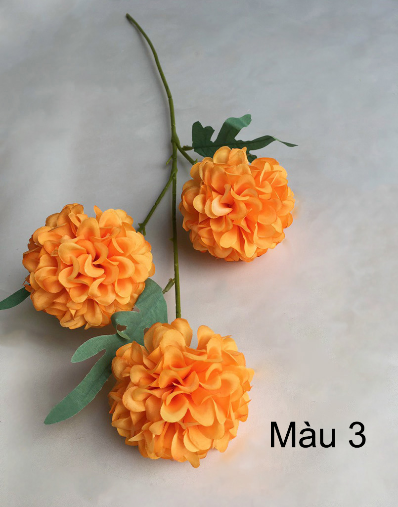 Cành hoa cẩm tú cầu 3b đẹp