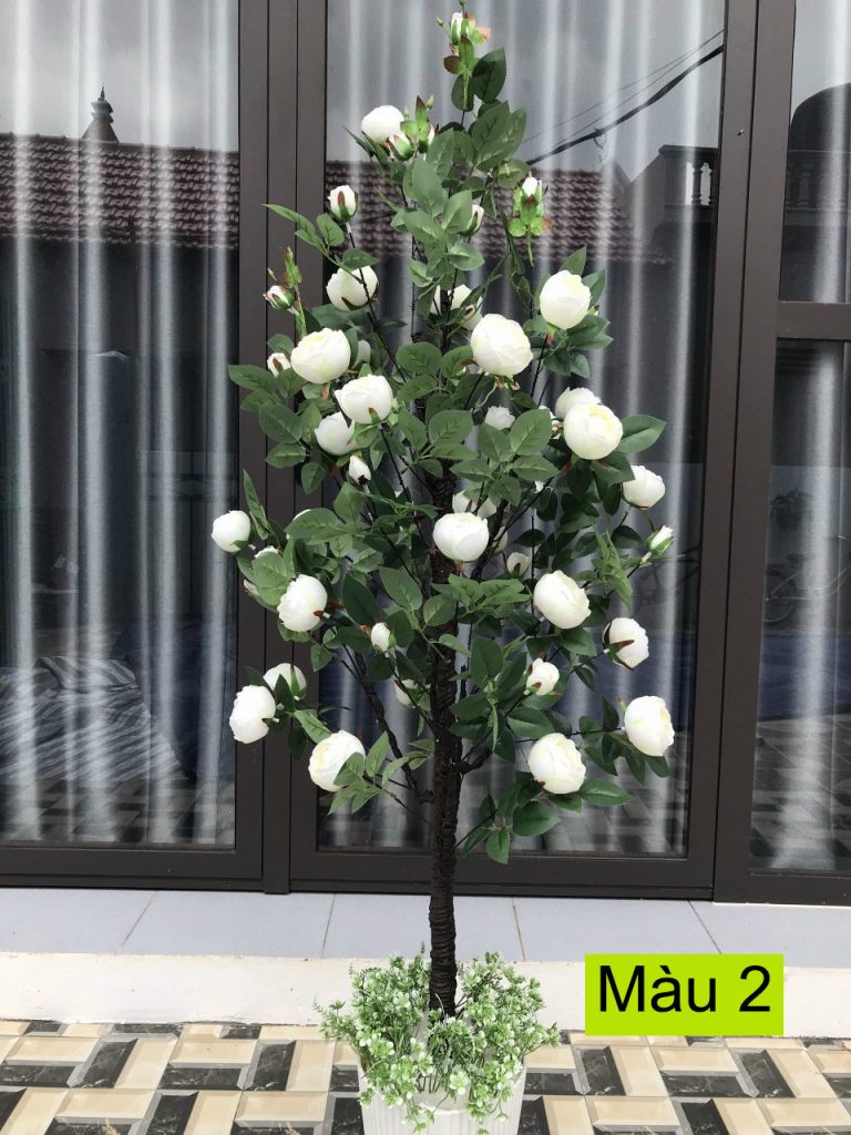 Cây hoa hồng trà  giả – Cao 1,6 mét