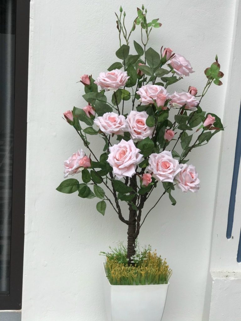 Cây hoa hồng xoăn giả – Cao 1 mét