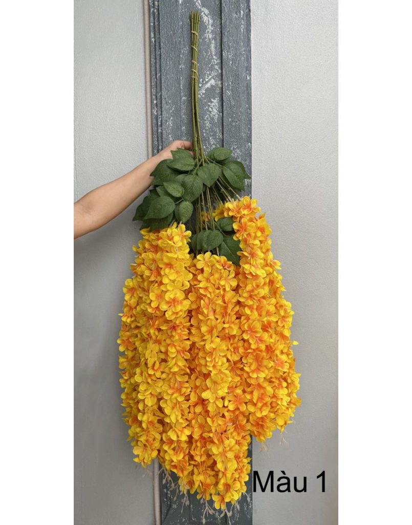 Chùm hoa rủ tử đằng Việt